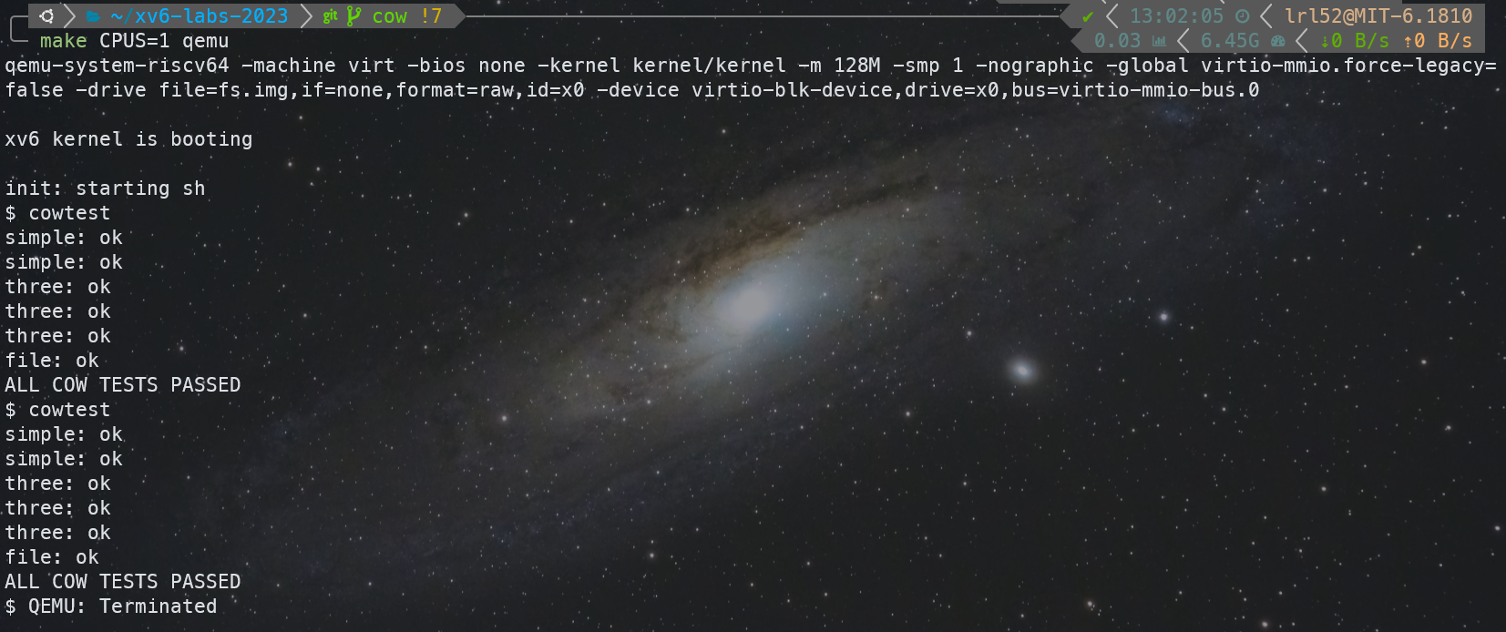 image-20241103131535915